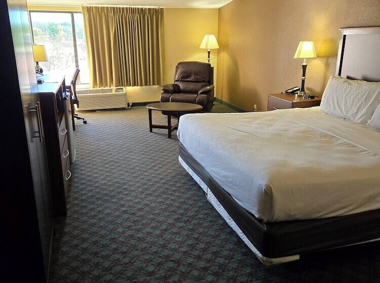 Стандартный Номер Кровать Кинг, Med City Inn & Suites Rochester Mayo Clinic Area