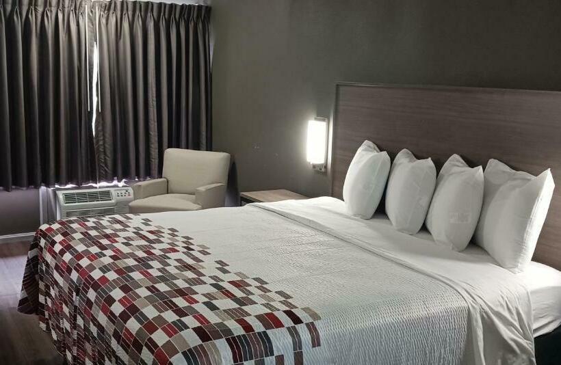 스탠다드 룸 킹사이즈 침대, Red Roof Inn Fort Worth West