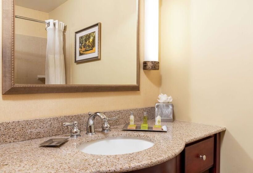 Номер Стандарт 2 Двуспальные Кровати, Doubletree By Hilton Hotel Grand Rapids Airport