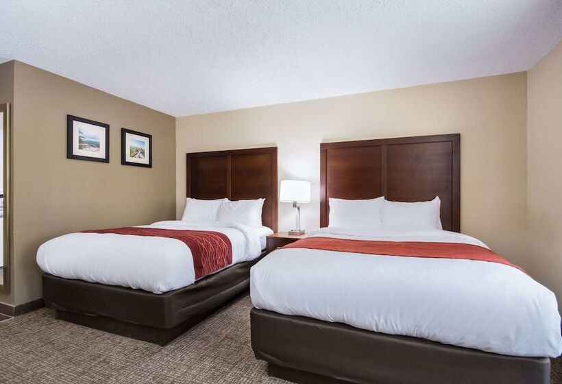 Номер Стандарт 2 Двуспальные Кровати, Comfort Inn