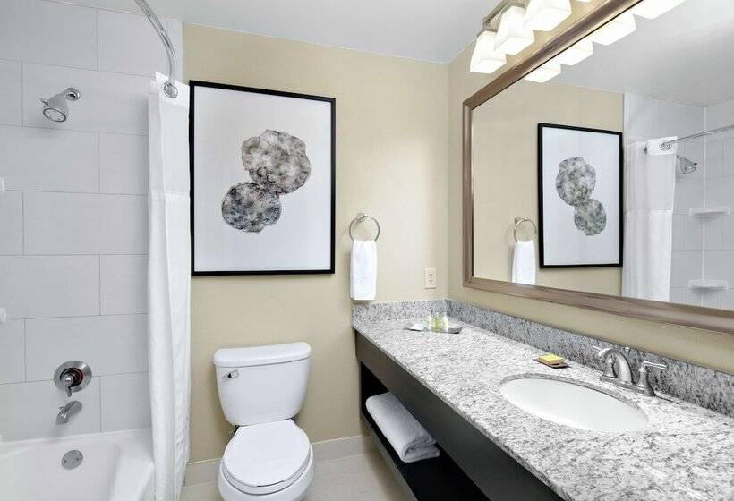 سوییت, Doubletree Suites By Hilton Charlotte Southpark
