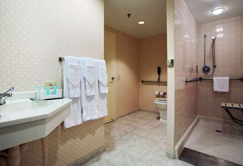 스탠다드 룸, Hilton Chicago/oak Brook Suites