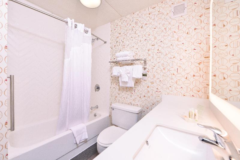 Стандартный Номер Кровать Кинг, Holiday Inn Auburn Finger Lakes Region, An Ihg
