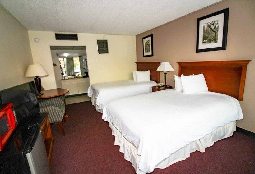 Номер Стандарт 2 Двуспальные Кровати, Newburgh Inn