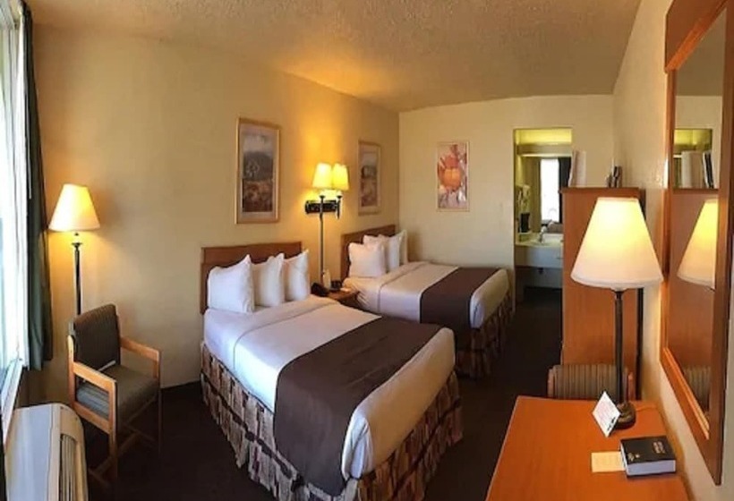 اتاق استاندارد با 2 تخت دوبل, Whitten Inn University