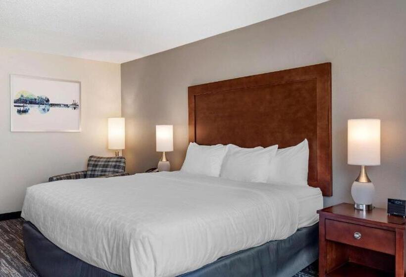Стандартный Номер Кровать Кинг, Clarion Inn Sheffield Muscle Shoals