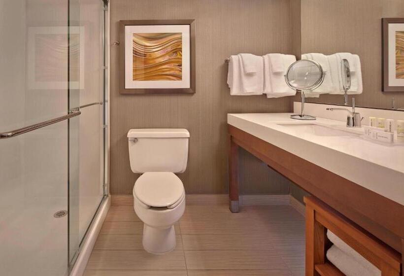 Номер Стандарт, Courtyard By Marriott Philadelphia City Avenue