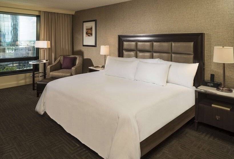 스탠다드 룸 더블 침대, Hilton Tampa Downtown
