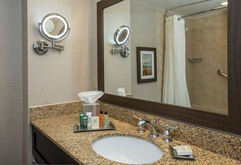 스탠다드 룸 더블 침대 2개, Hilton Tampa Downtown