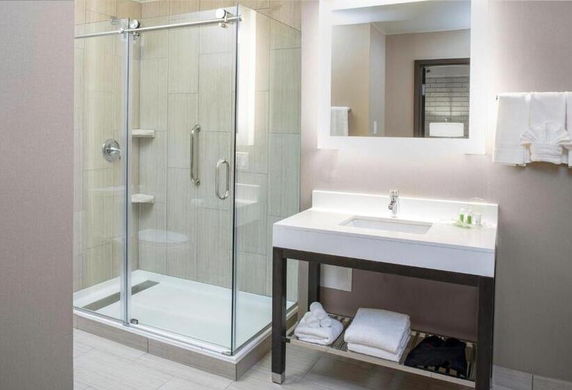 Chambre Standard, Holiday Inn Chicago Sw Countryside Confctr By Ihg