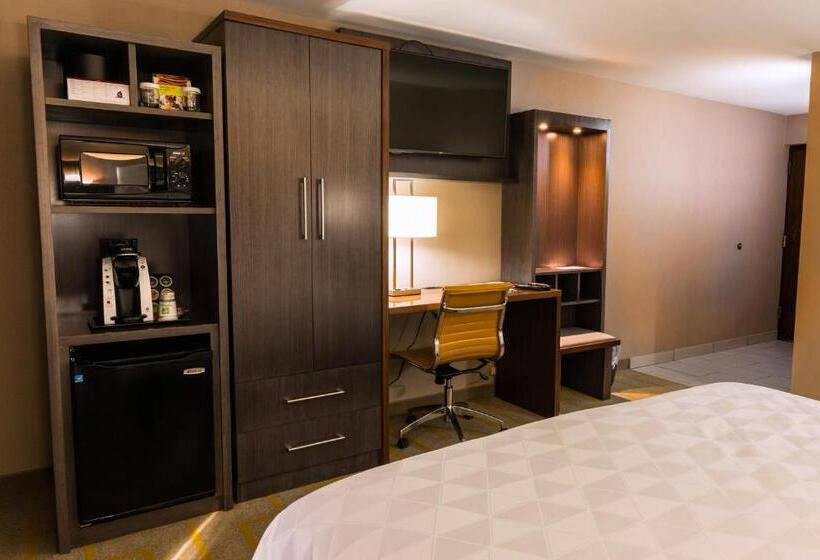 Suite, Holiday Inn Chicago Sw Countryside Confctr By Ihg
