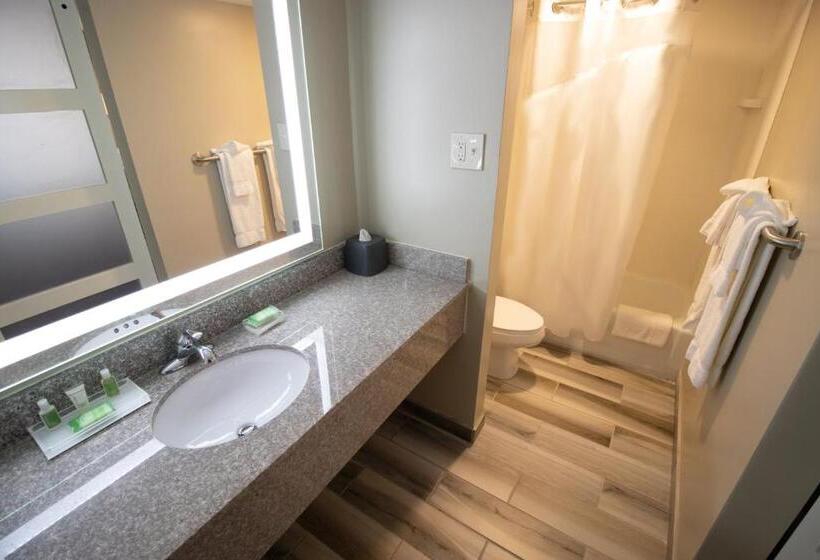 Номер Стандарт, Holiday Inn Scranton East   Dunmore, An Ihg