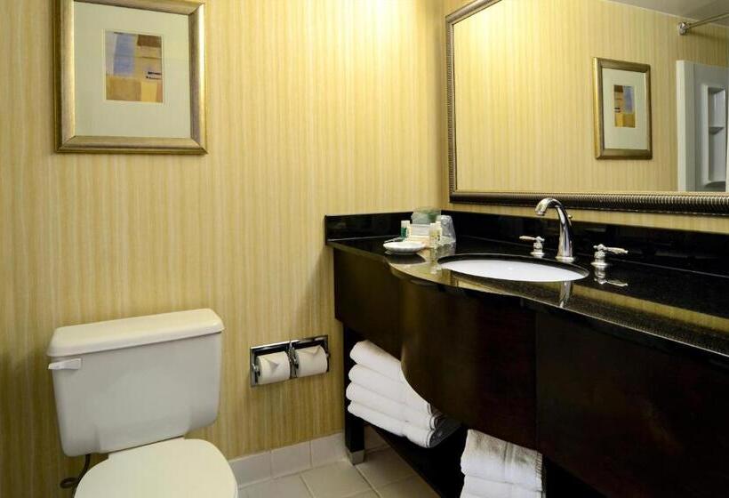 Номер Стандарт Кровать Кинг Адаптированный для Инвалидов, Holiday Inn Washington D.c.   Greenbelt Maryland, An Ihg