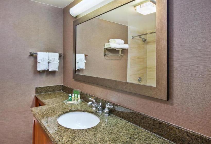 Номер Стандарт Адаптированный для Инвалидов, Holiday Inn Washington Dulles International Airport, An Ihg