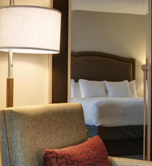 스탠다드 룸 킹사이즈 침대, Hyatt Regency Reston