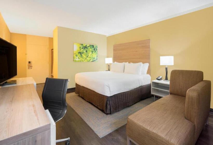 이그제큐티브 룸 킹사이즈 침대, Wyndham Garden Washington Dc North