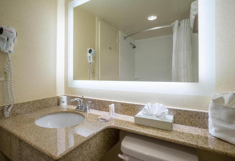 스탠다드 룸, Wyndham Garden Washington Dc North