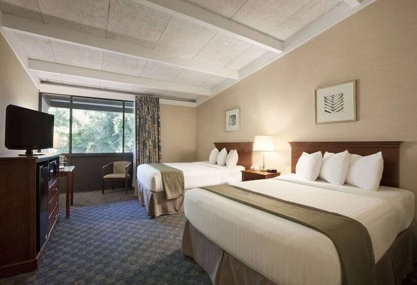 스탠다드 룸, Wyndham Garden Washington Dc North