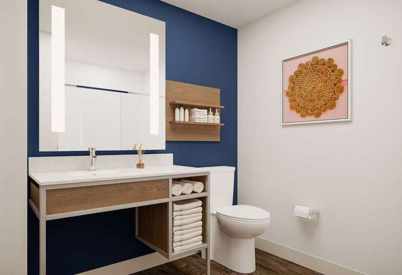 Номер Стандарт, Hilton Garden Inn St. Pete Beach