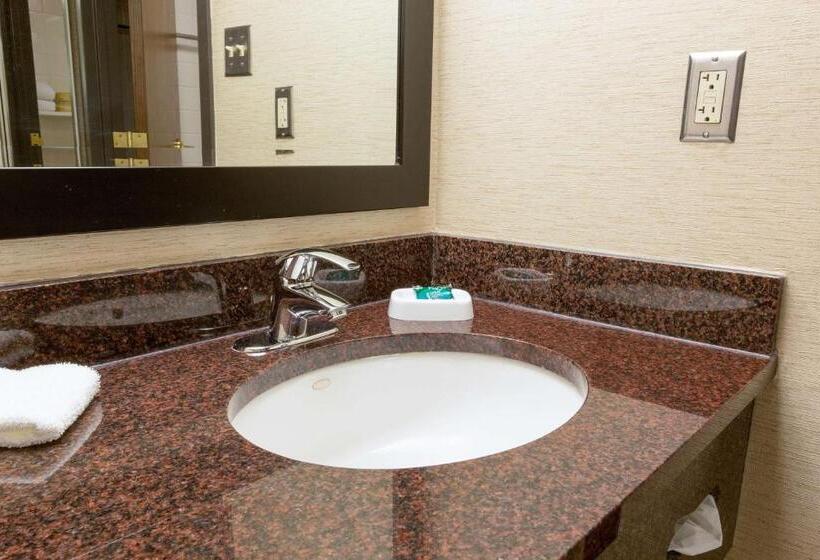 キングサイズベッドのスイートルーム, Drury Inn & Suites Mcallen