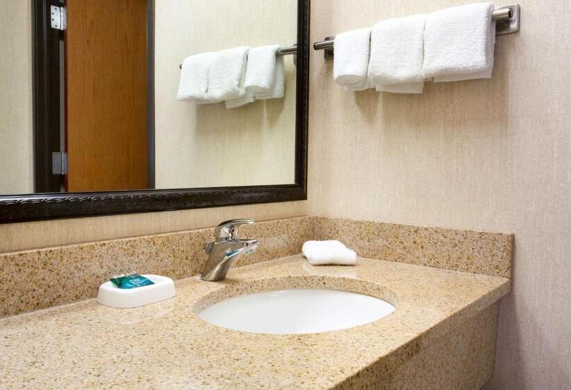 キングサイズベッドのスーペリアルーム, Drury Inn & Suites Mcallen