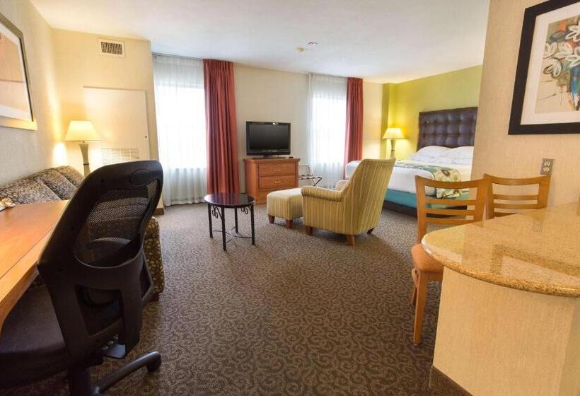 キングサイズベッドのスーペリアルーム, Drury Inn & Suites Mcallen