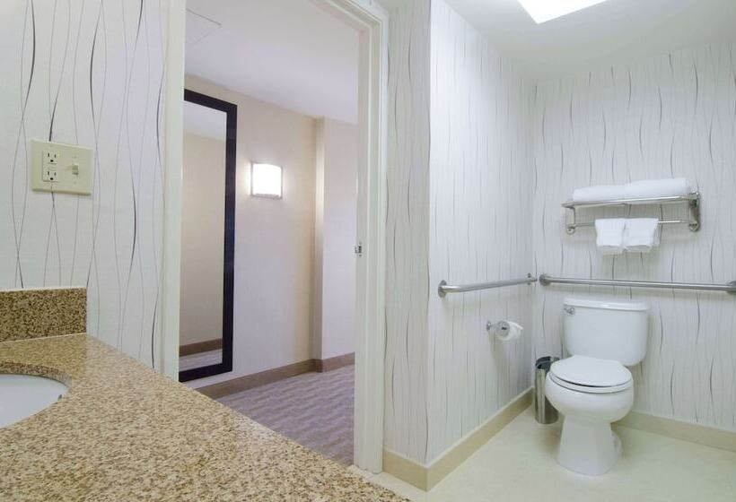 اتاق استاندارد با تخت دوبل برای معلولان, Hilton Los Angeles Airport