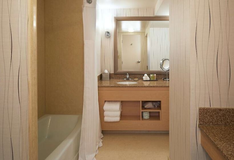 اتاق دلوکس مخصوص معلولین, Hilton Los Angeles Airport