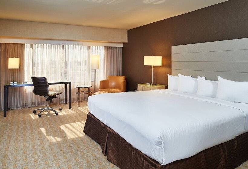 套房, Hilton Los Angeles Airport