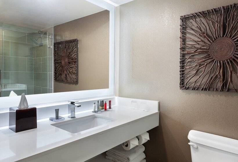Номер Стандарт 2 Двуспальные Кровати, Marriott Albuquerque