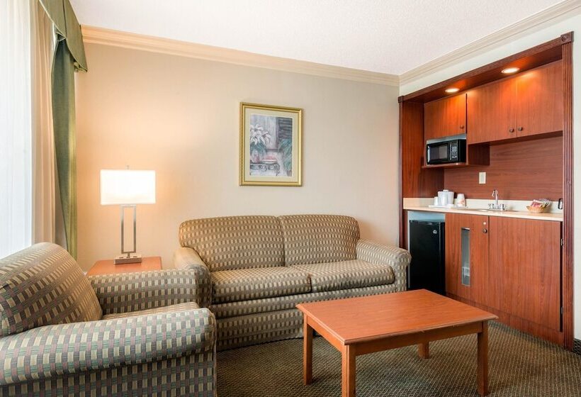 Люкс, Quality Inn & Suites Tarpon Springs South