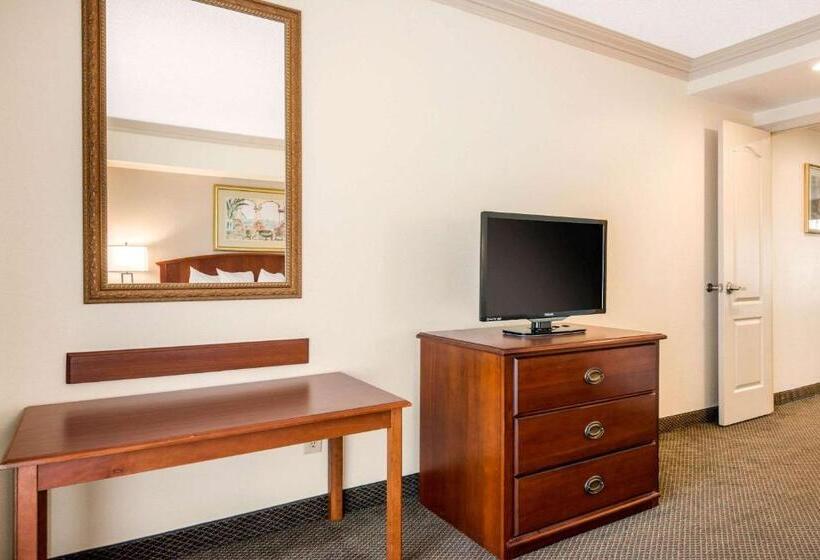Люкс Кровать Кинг, Quality Inn & Suites Tarpon Springs South