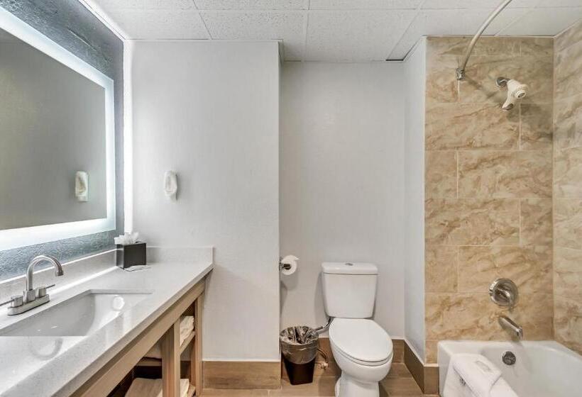 Стандартный Номер Кровать Кинг, Clarion Inn Salt Lake City Airport