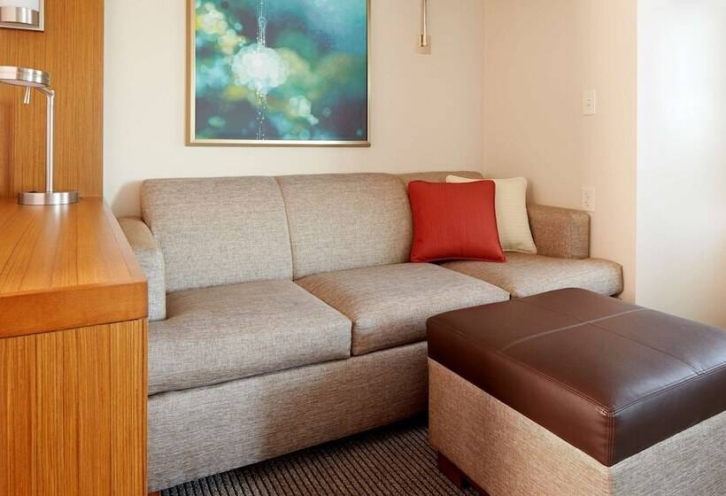 Номер Стандарт 2 Двуспальные Кровати, Hyatt Place Atlanta Downtown
