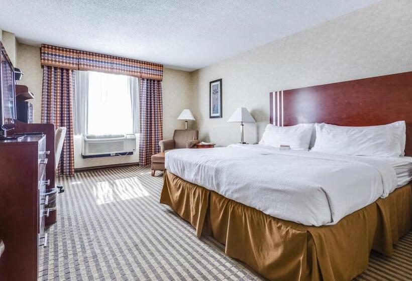 장애인을 위한 킹사이즈 침대 스탠다드 룸, Lynchburg Grand