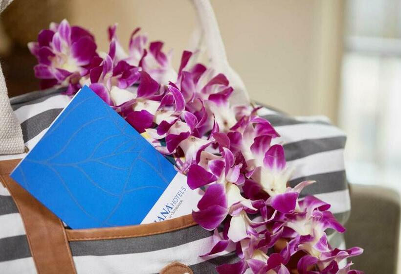 Студия Стандарт, Outrigger Waikiki Paradise