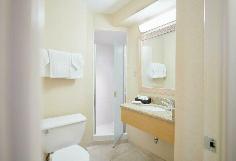Номер Стандарт, Outrigger Waikiki Paradise