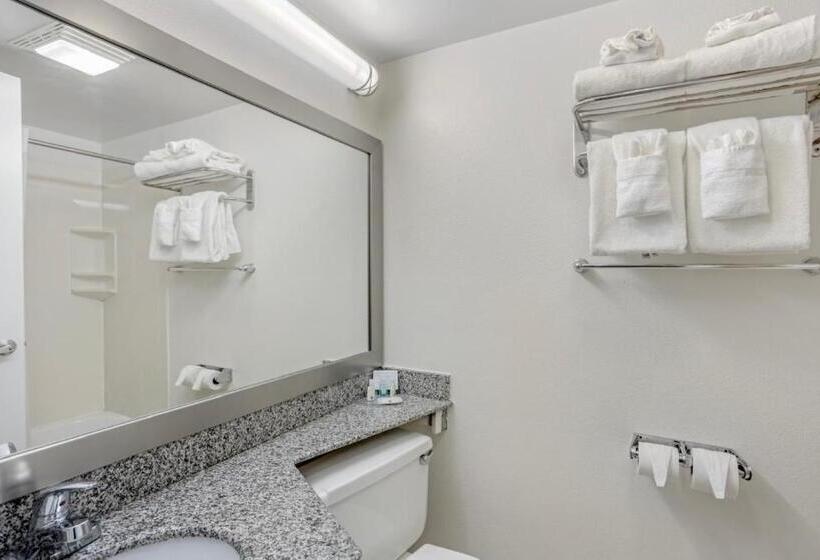 带大床的标准间, Quality Inn Enola  Harrisburg