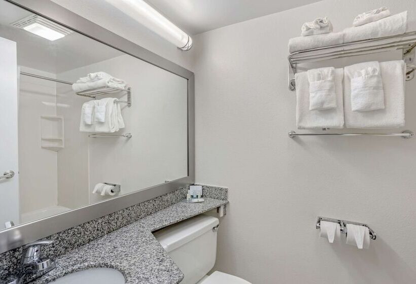 带2个双人床的标准工作室, Quality Inn Enola  Harrisburg