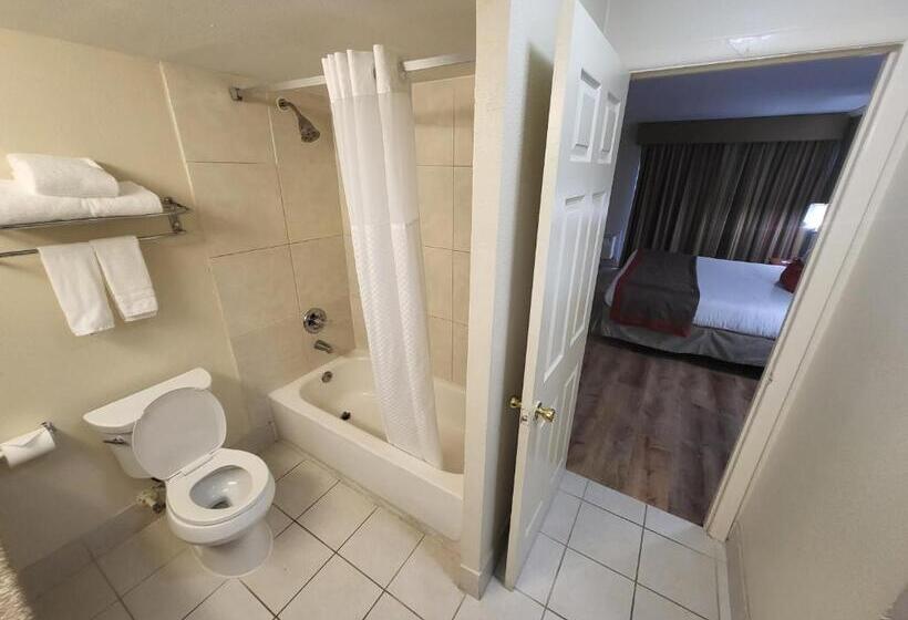 سوئیت با تخت بزرگ, Ramada By Wyndham Houston Intercontinental Airport East