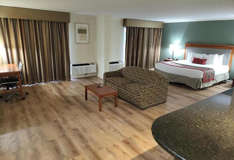 سوئیت با تخت بزرگ, Ramada By Wyndham Houston Intercontinental Airport East