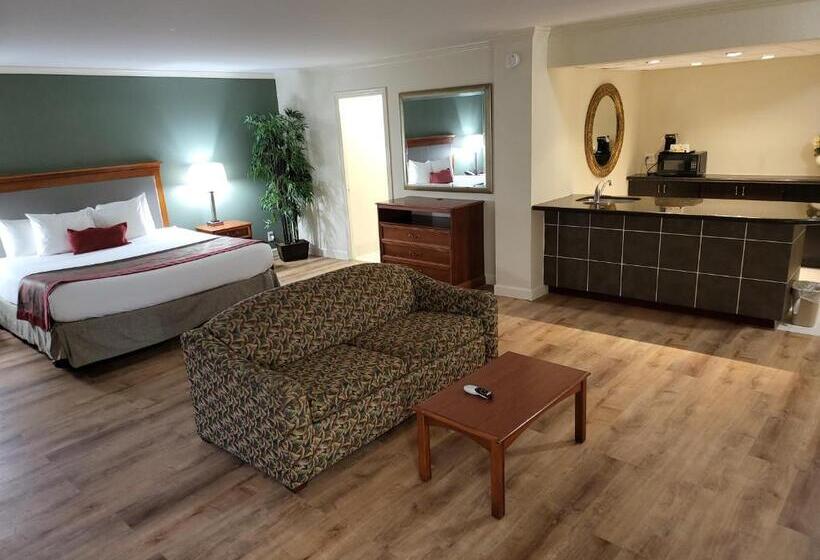سوئیت با تخت بزرگ, Ramada By Wyndham Houston Intercontinental Airport East