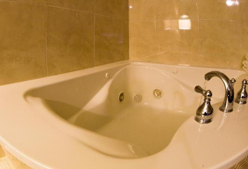استودیوی لوکس, Ramada By Wyndham Houston Intercontinental Airport East