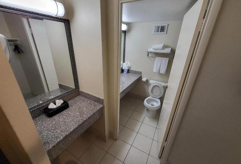اتاق استاندارد با تخت بزرگ برای معلولان, Ramada By Wyndham Houston Intercontinental Airport East