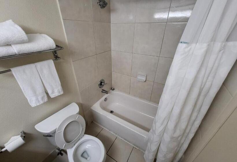 اتاق استاندارد برای معلولان, Ramada By Wyndham Houston Intercontinental Airport East