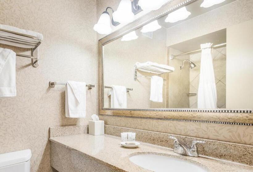 스탠다드 룸 킹사이즈 침대, Red Lion Hotel Portland Airport