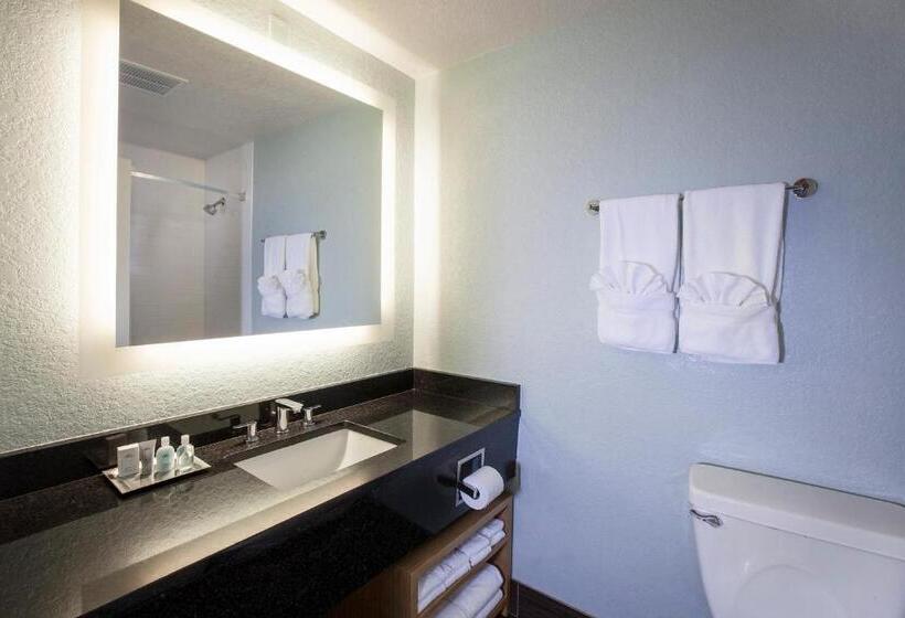 اتاق استاندارد با 2 تخت دوبل, Wyndham Orlando Resort International Drive