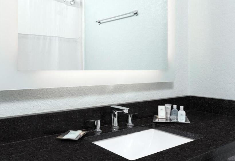 اتاق استاندارد با تخت بزرگ برای معلولان, Wyndham Orlando Resort International Drive
