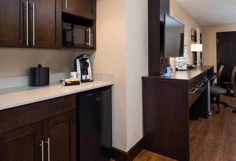 带大床的标准间, Holiday Inn Express & Suites San Antonio Medical Center North, An Ihg
