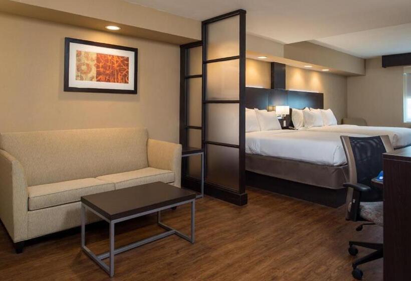 带大床的套房, Holiday Inn Express & Suites San Antonio Medical Center North, An Ihg